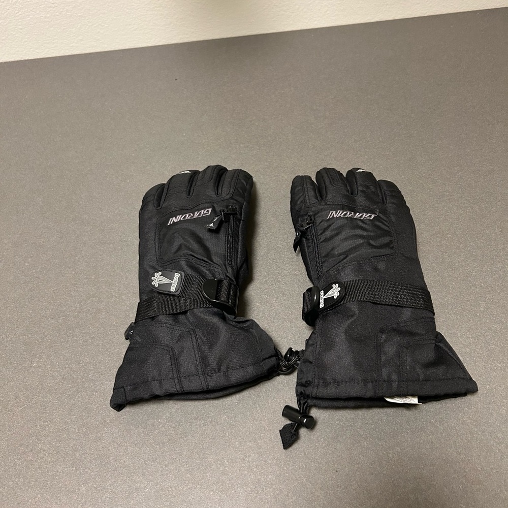 Ski Gloves - image 1